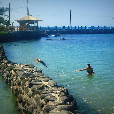 شقة Casa Playa Los Marinos بويرتو بكويريزو مورينو المظهر الخارجي الصورة