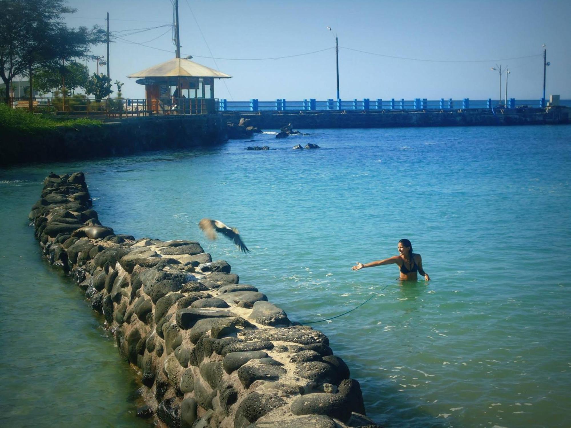 شقة Casa Playa Los Marinos بويرتو بكويريزو مورينو المظهر الخارجي الصورة